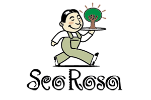 Seo Rosa